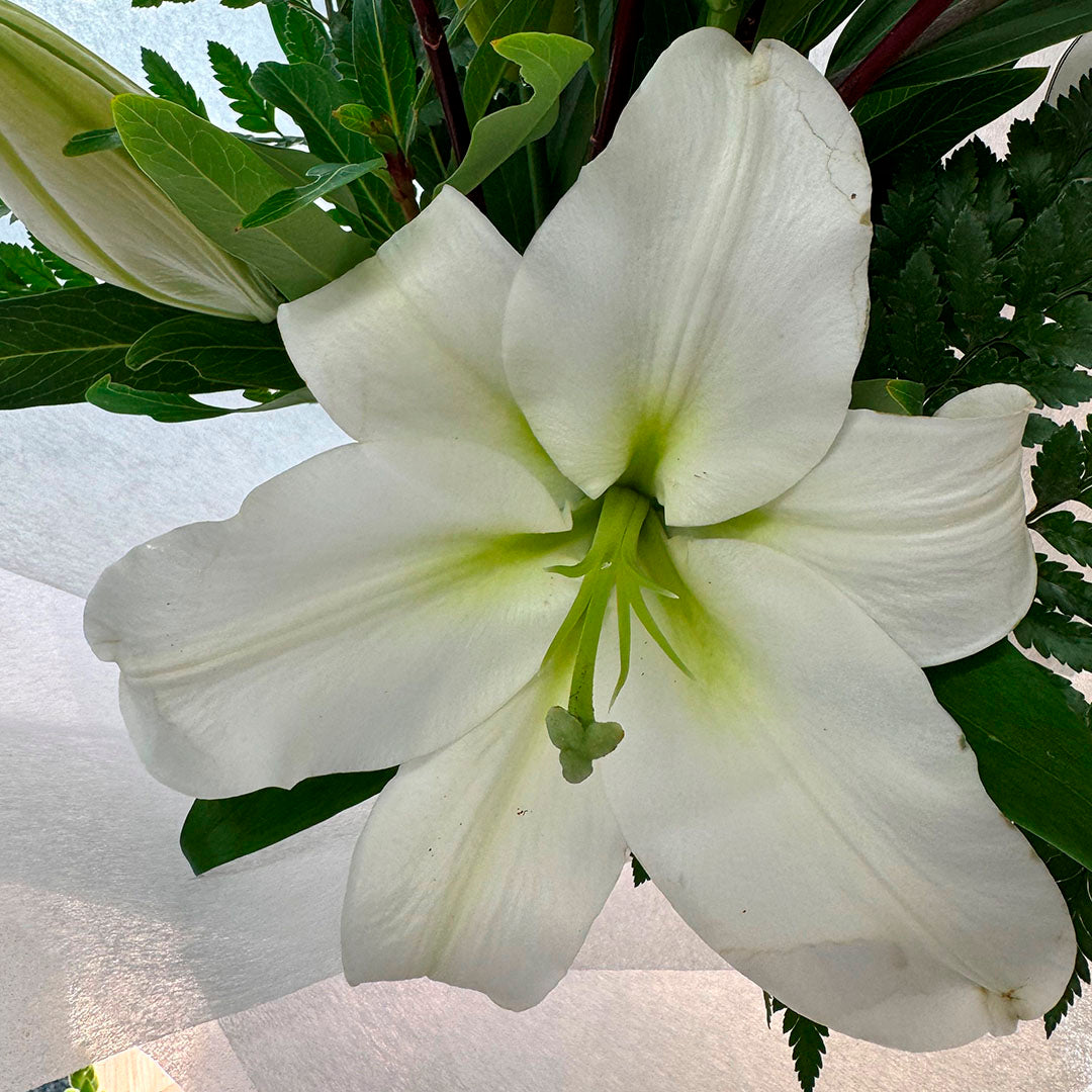 Green & White Arrangement