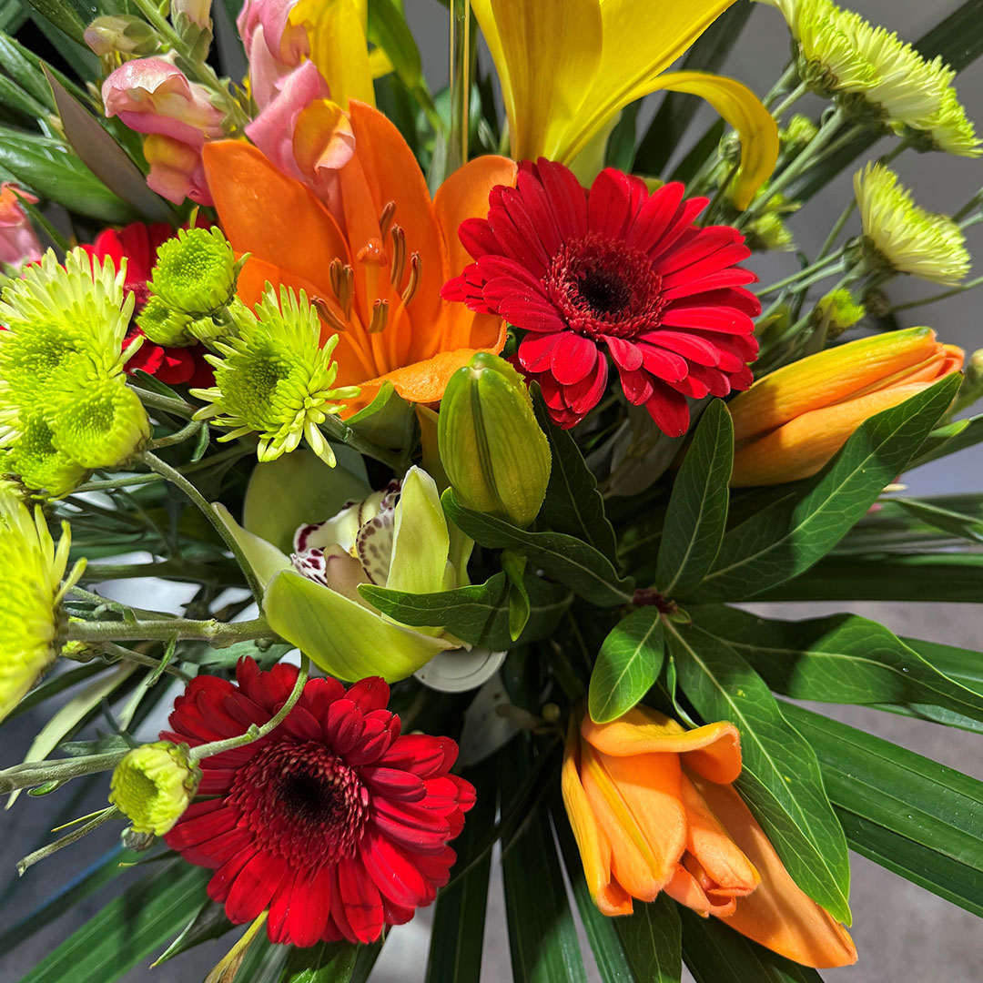 Bright Arrangement